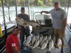 (07/15/2017) - Nice Striped Bass